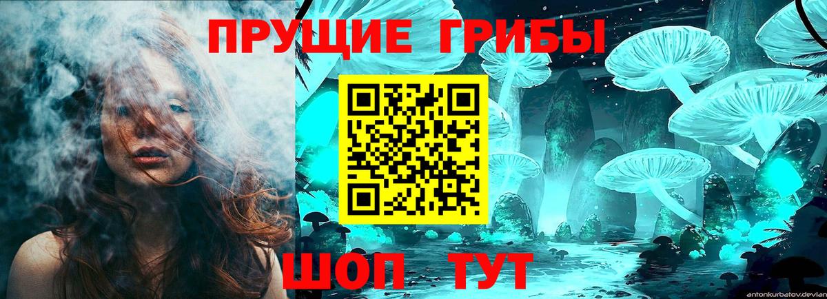 Галлюциногенные грибы Psilocybe  Вход с VPN  Всеволожск  Галлюциногенные грибы Cubensis 