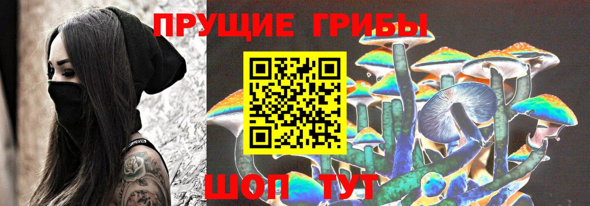 Галлюциногенные грибы Cubensis Всеволожск